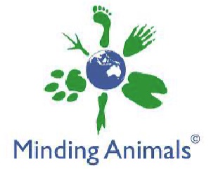 Minding Animals Conference 5