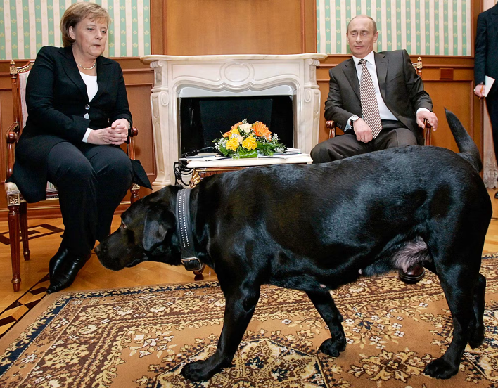 Putin’s dog and Merkel’s fear – a strategic defeat