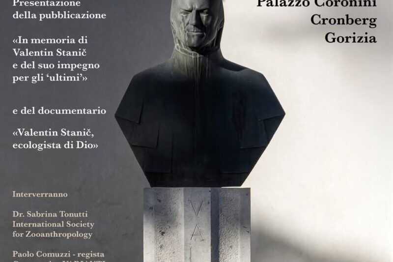 Project dedicated to Valentino Stanic